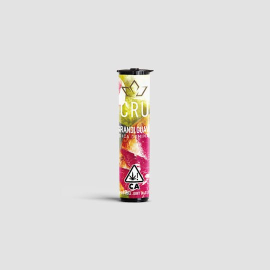 CRU Cannabis - Grandi Guava (0.5G Pre-Roll) - 1