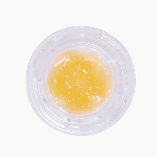 OozeX - Honey Bee - 1