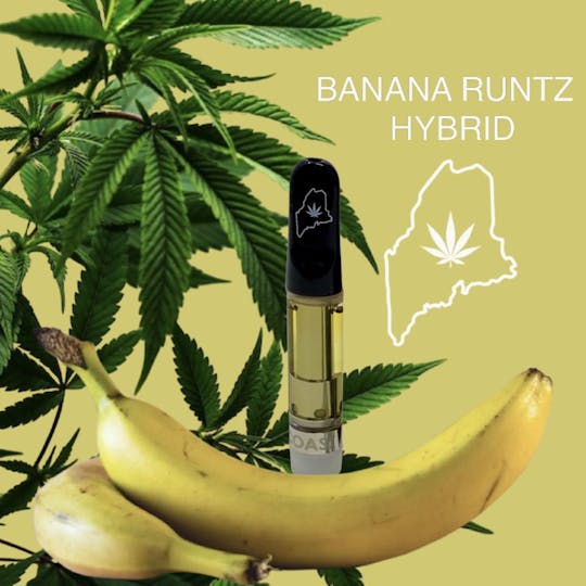 High Coast - High Coast 1G THC Cartridge - Banana Runtz (Hybrid) - 1