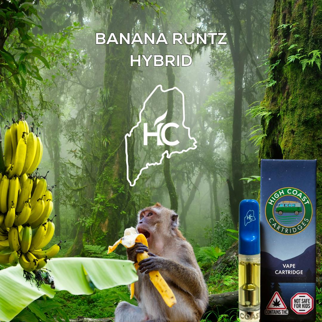High Coast - High Coast 1G THC Cartridge - Banana Runtz (Hybrid) - 1