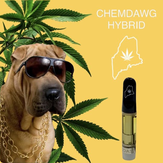 High Coast - High Coast 1G THC Cartridge - Chemdawg (Hybrid) - 1