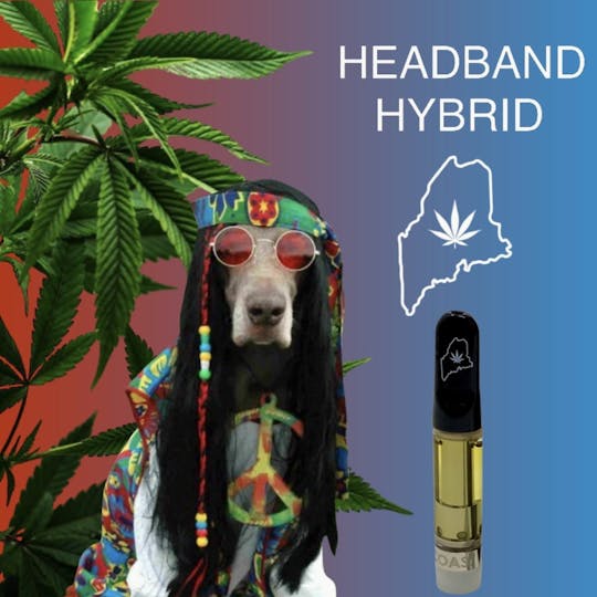 High Coast - High Coast 1G THC Cartridge - Headband (Hybrid) - 1