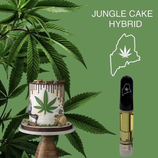 High Coast - High Coast 1G THC Cartridge - Jungle Cake (Hybrid) - 1