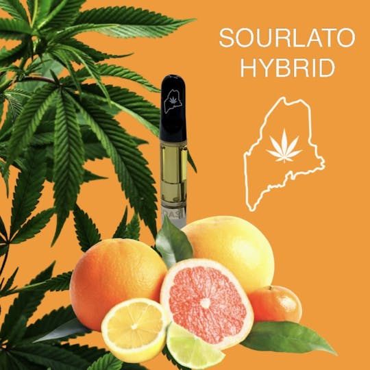 High Coast - High Coast 1G THC Cartridge - Sourlato (Hybrid) - 1