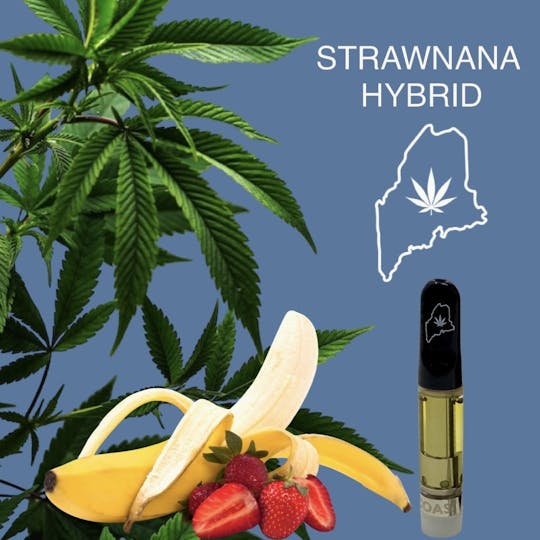 High Coast - High Coast 1g THC Cartridge - Strawnana (Hybrid) - 1