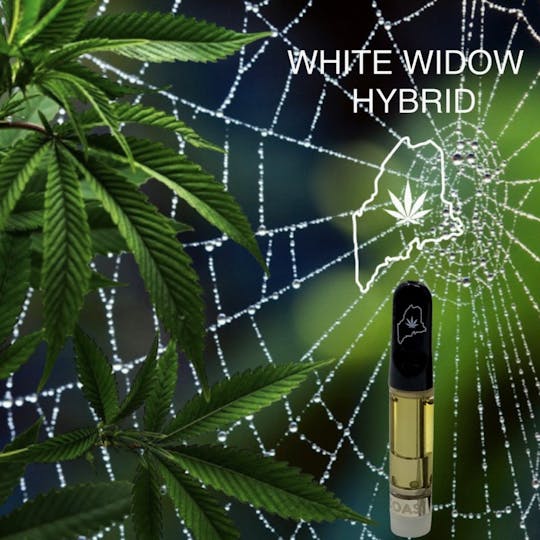 High Coast - High Coast 1G THC Cartridge - White Widow (Hybrid) - 1