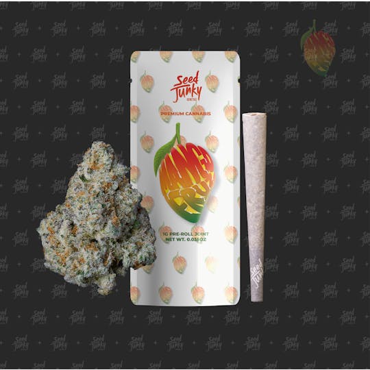 Seed Junky - MANGO FRUZ (1G Pre-Roll) - 1