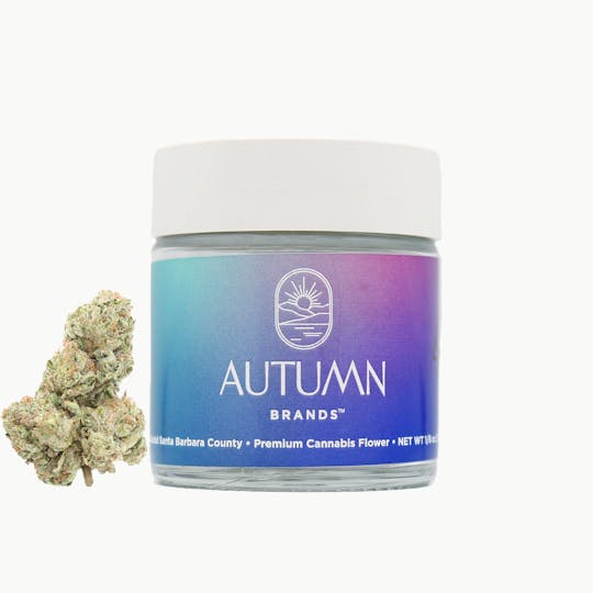 Autumn Brands - Purple Push Pop - 1