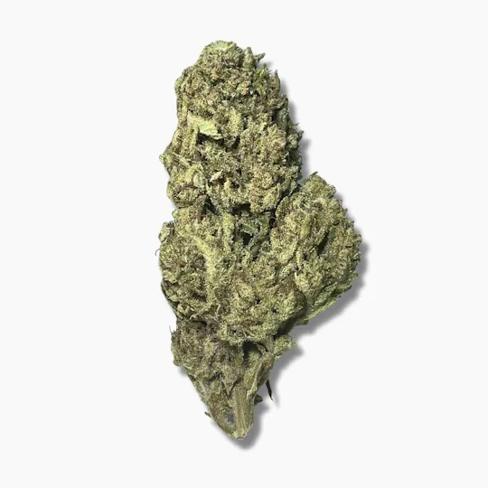 Smoakland - Smoakland Black | The Boost | Big Buds | 14g - 1