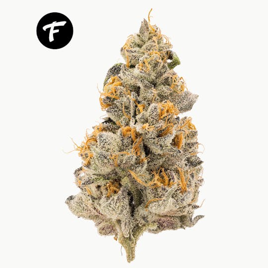 Forte Cannabis - Wedding Pie - 25.81% - 1