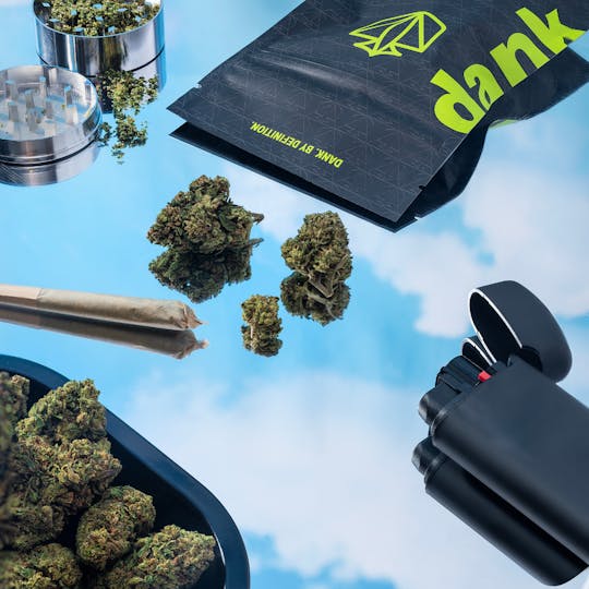 Dank By Definition - FLOOR 13 - 1