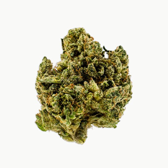 Dank By Definition - RS-11 RAINBOW SHERBERT - 1