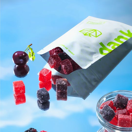 Dank By Definition - ASSORTED GUMMIES - 1