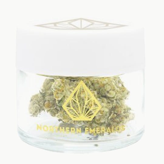 Northern Emeralds - Therapy - 1