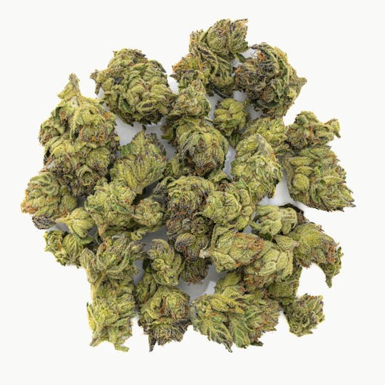 West Coast Cure - Grape Pie - 7G Top Shelf Indoor Smalls - 1