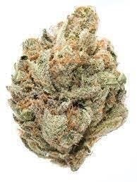 Cannafeen - Cannafeen | Tangie Land | Big Buds - 1