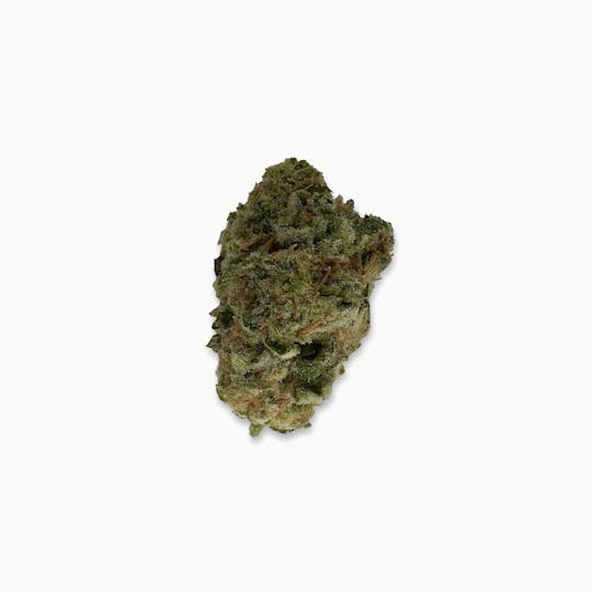Indico - Raspberry Cough - New Horizons - 1