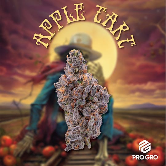 Pro Gro - Apple Tart Pre-Pack | 3.5g - 1