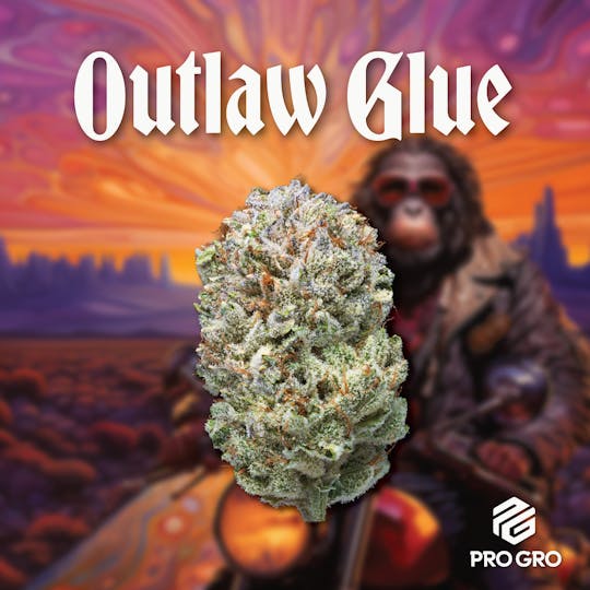 Pro Gro - Outlaw Glue Pre-Pack | 3.5g - 1