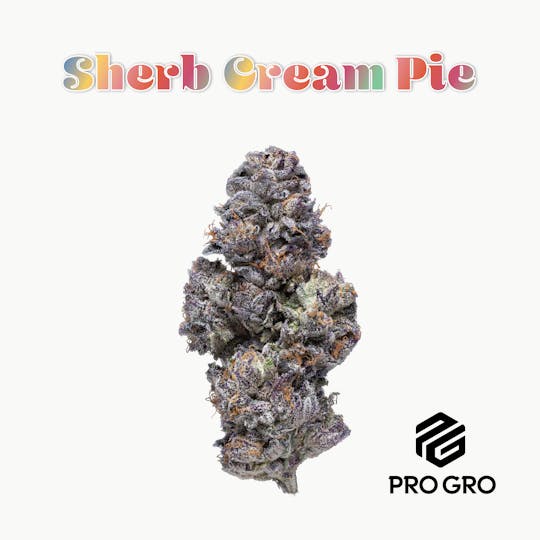 Pro Gro - Sherb Cream Pie Pre-Pack | 3.5g - 1