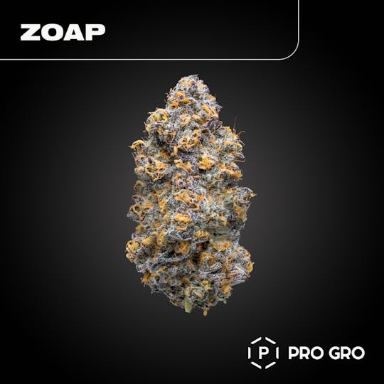 Pro Gro - Zoap Pre-Pack | 3.5g - 1