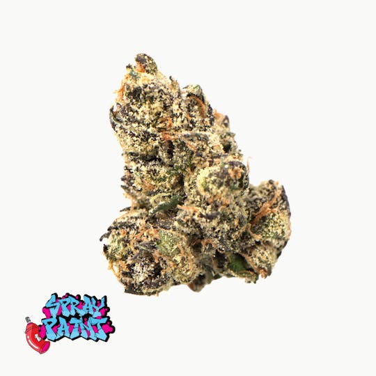 Traditional - Traditional - Spray Paint 3.5g - 1