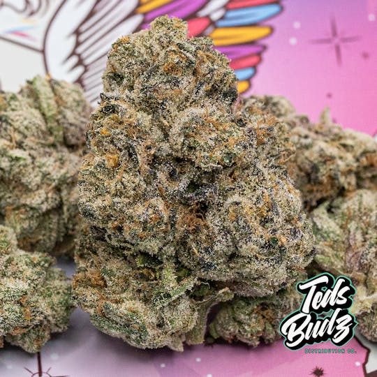 TEDS BUDZ - Pegasus Poop - 1