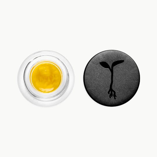 Raw Garden - Apple Fritter #74 Live Sauce - 1