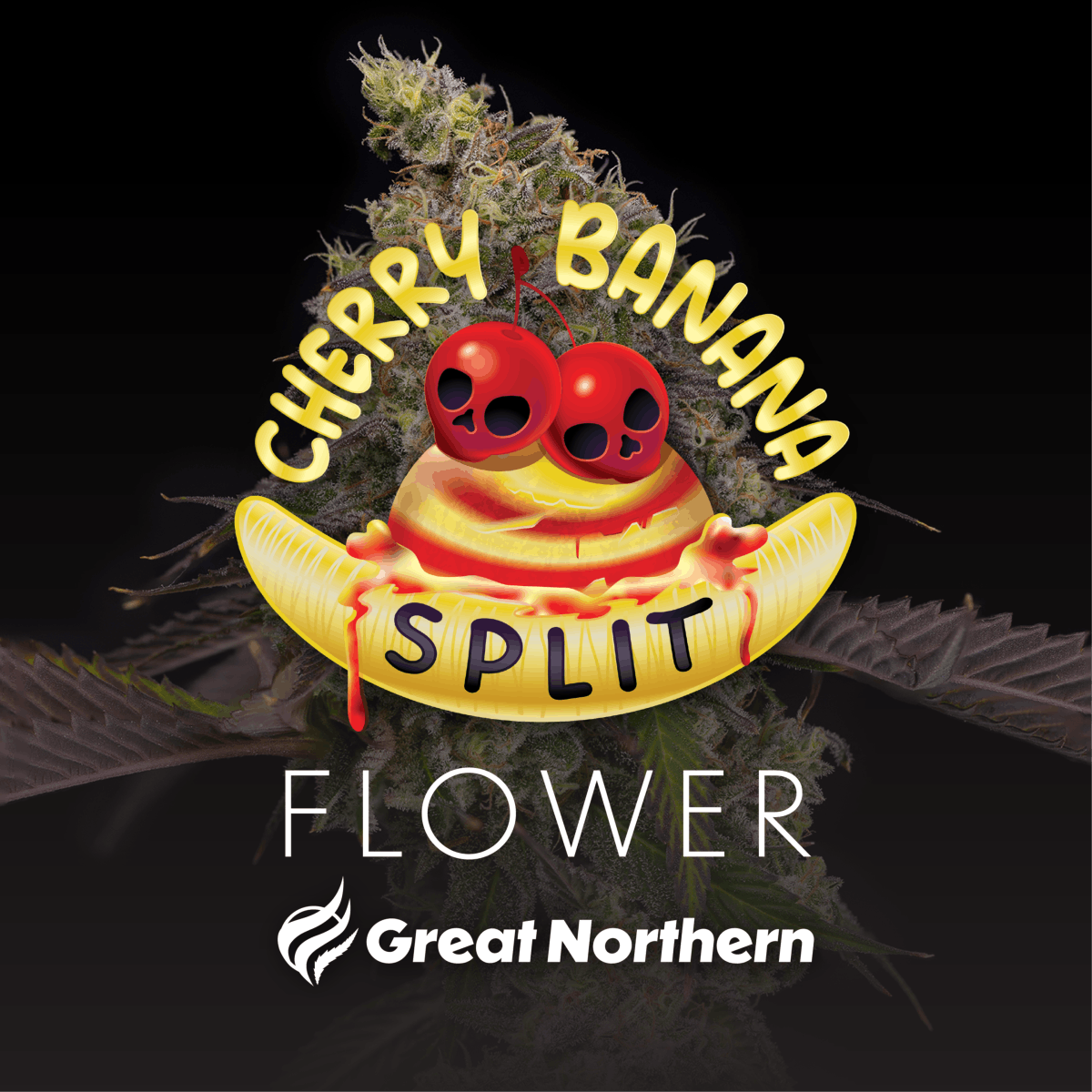 Great Northern Cannabis - Great Northern Cannabis Cherry Banana Split Flower (Indica) - 1