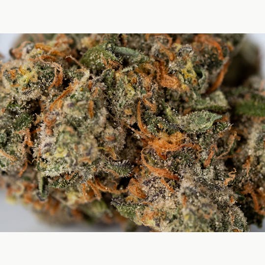 420 Kingdom - King's Aero - Banana Cream Pie - 4g Flower - 1