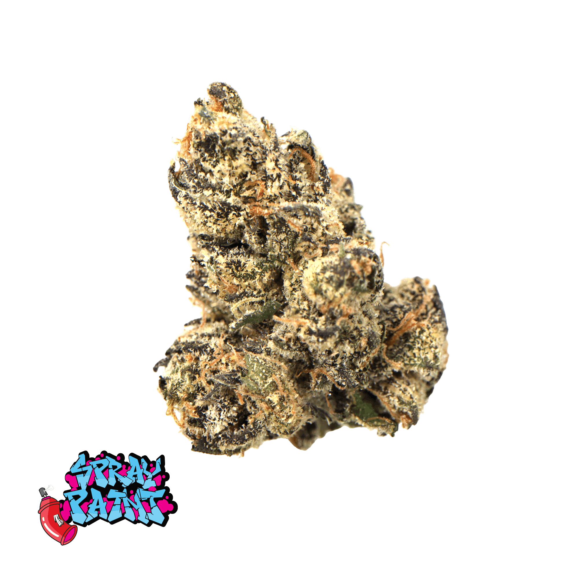 Traditional - Traditional - Spray Paint Minis 5g - 1