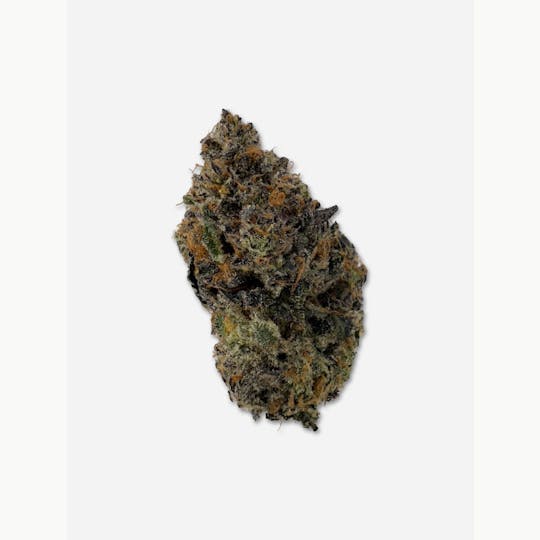 Indico - Emergen-C - Oasis Refinery - 1