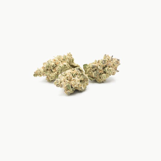 ILLICIT - Animal Cookies Crisp 1g Flower - 1