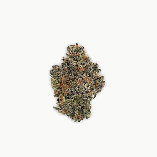 Zero Gravity Cannabis - Flower - Rainbow Invaderz 50/50 Hybrid - 1