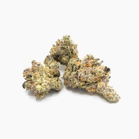 ILLICIT - Animal Star Cookies 1g Flower - 1