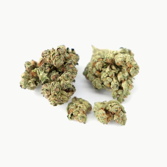 ILLICIT - Biscotti 1g Flower - 1