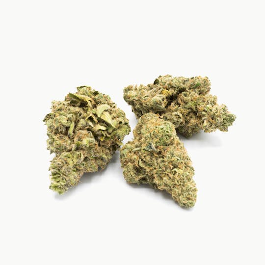 ILLICIT - Bonkerz 1g Flower - 1