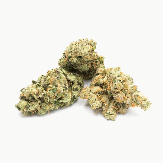 ILLICIT - Gelato #33 1g Flower - 1
