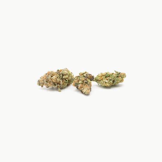 ILLICIT - GMO Cookies 1g Flower - 1
