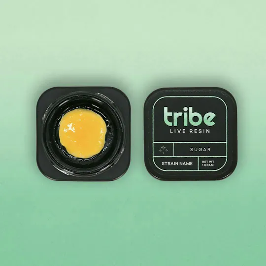 Tribe - Tribe | Caramel Strudel | Live Sugar | 1g - 1