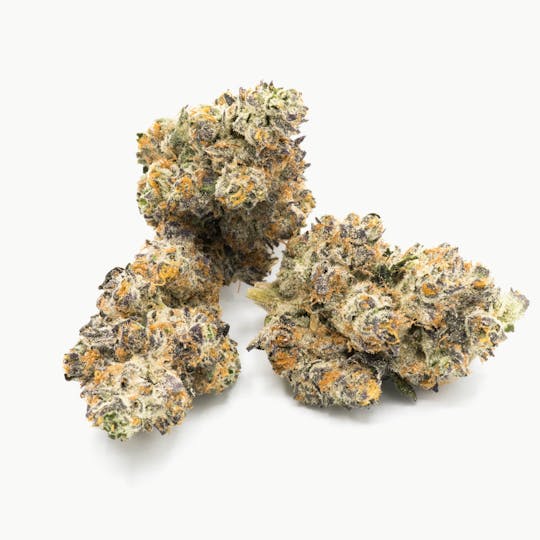 ILLICIT - Peach Crescendo 1g Flower - 1