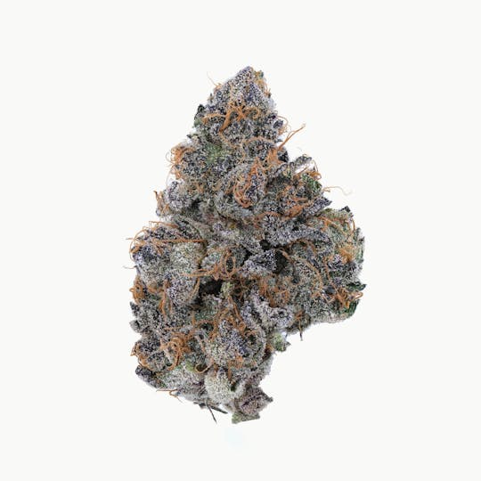ILLICIT - Sherb Cake 1g Flower - 1