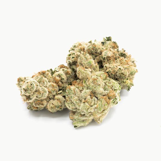 ILLICIT - Strawberry Float 1g Flower - 1