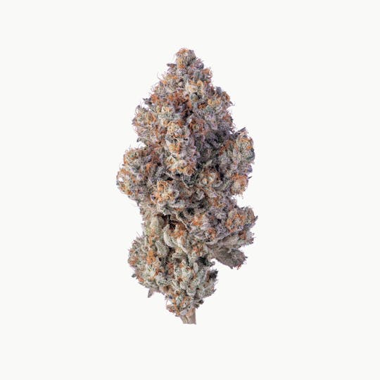 ILLICIT - Violet Fog 1g Flower - 1