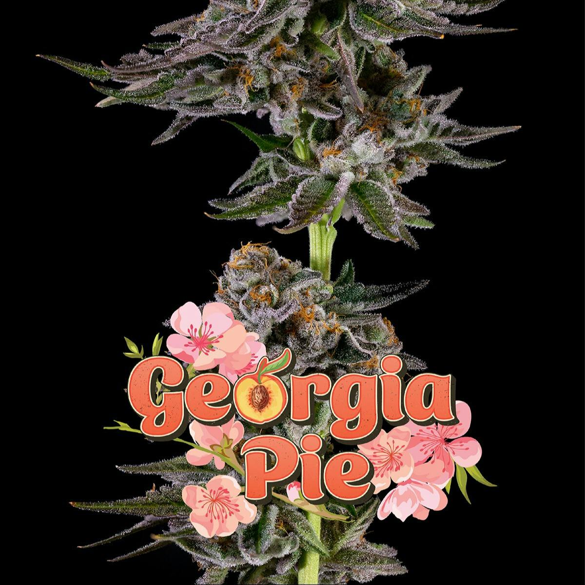 Great Northern Cannabis - Great Northern Cannabis 1g Georgia Pie Pre-Roll (Indica) - 1