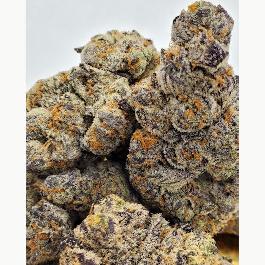 World Class Cannabis - King Tut - 1