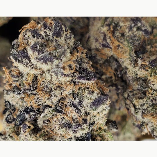 World Class Cannabis - Purple Aloha - 1