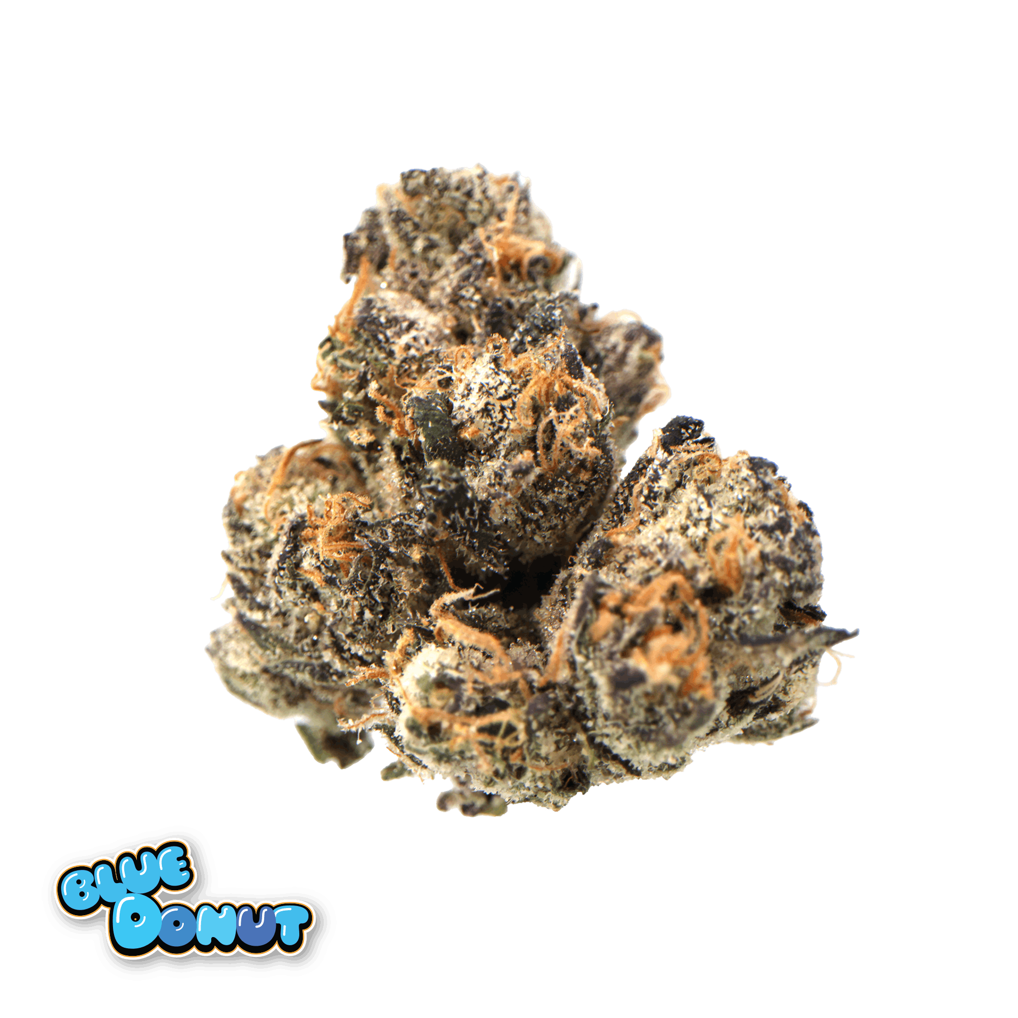 Traditional - Traditional - Blue Donut Minis 5g - 1