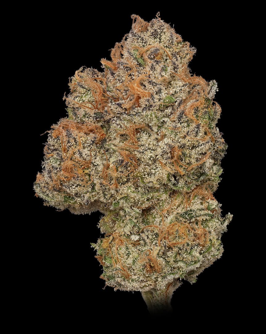 BAM Alaska - AK Cookies .5g Pre-Roll 5 Pack - 1