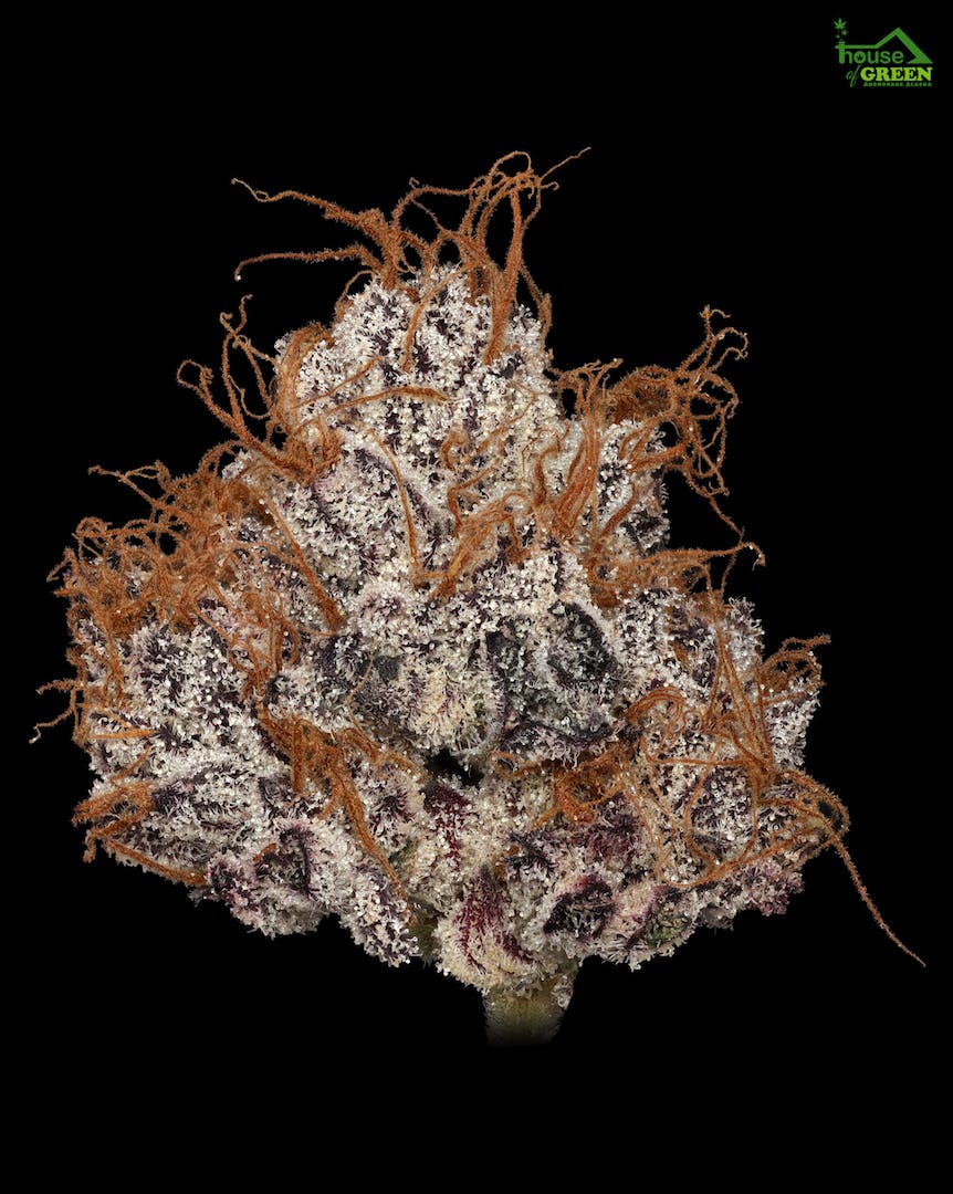 BAM Alaska - Wedding Crashers 1.5g Fat Boy - 1